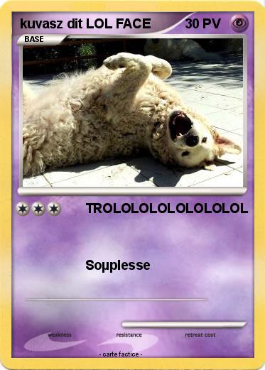 Pokemon kuvasz dit LOL FACE