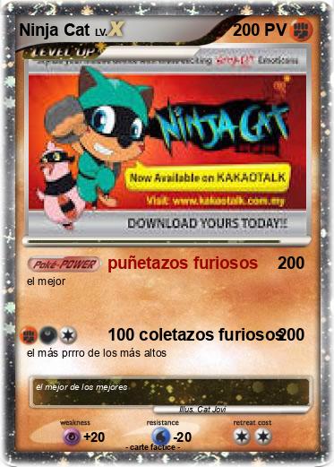Pokemon Ninja Cat