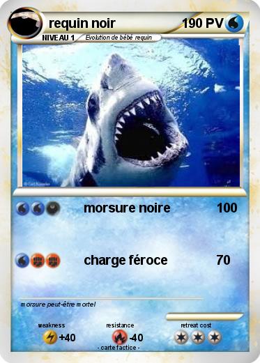 Pokemon requin noir
