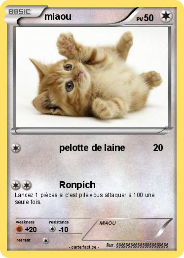 Pokemon miaou