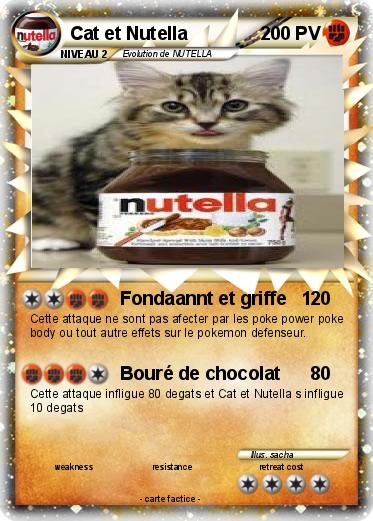 Pokemon Cat et Nutella