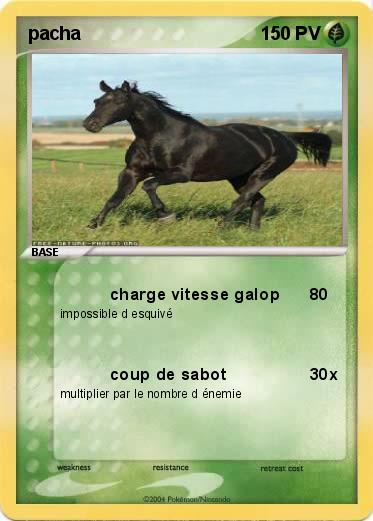 Pokemon pacha