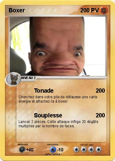 Pokemon Boxer