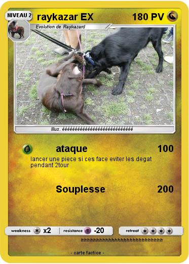 Pokemon raykazar EX