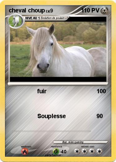 Pokemon cheval choup