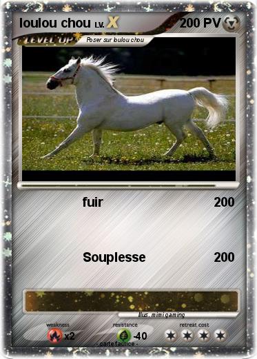 Pokemon loulou chou