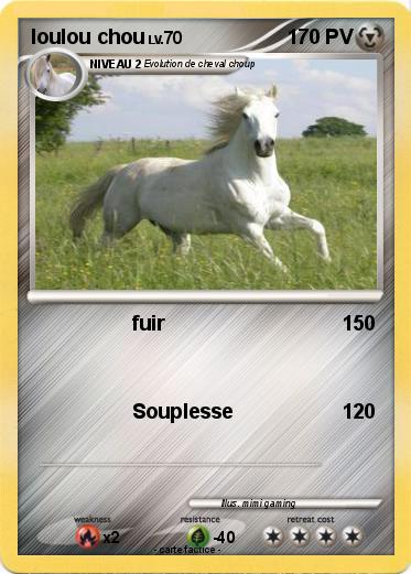 Pokemon loulou chou