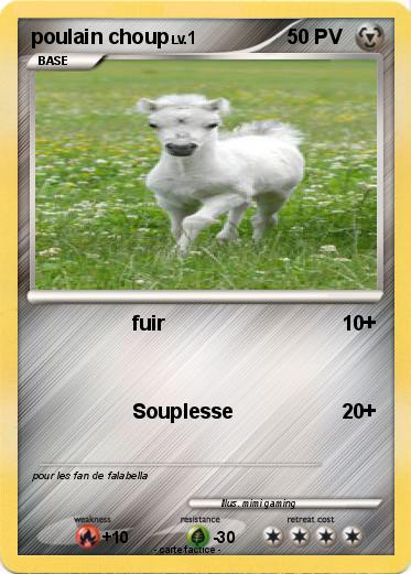 Pokemon poulain choup