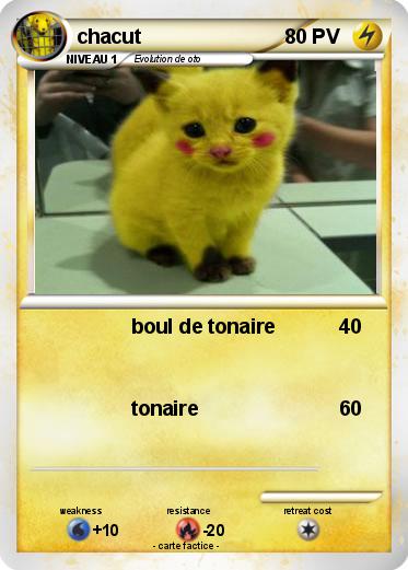 Pokemon chacut