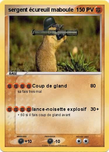 Pokemon sergent écureuil maboule