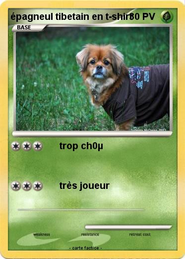 Pokemon épagneul tibetain en t-shirt