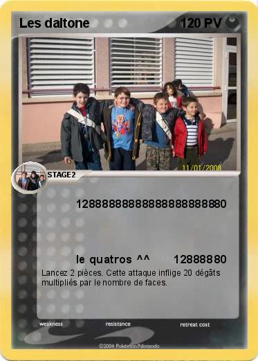 Pokemon Les daltone