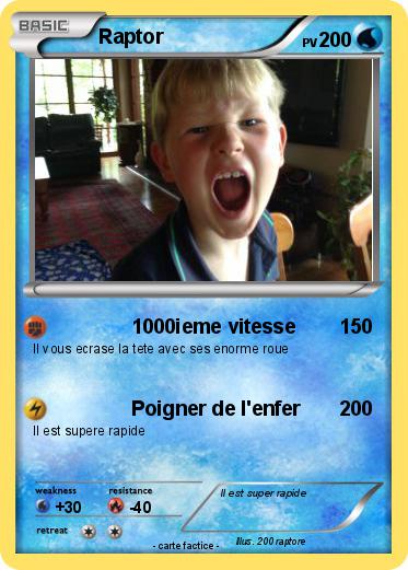 Pokemon Raptor