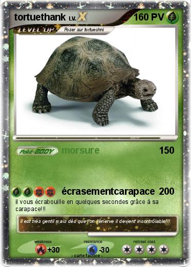 Pokemon tortuethank