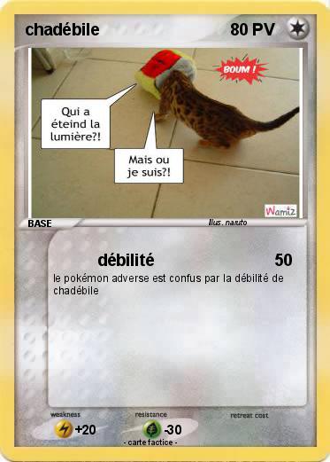 Pokemon chadébile