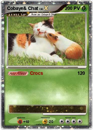 Pokemon Cobaye& Chat