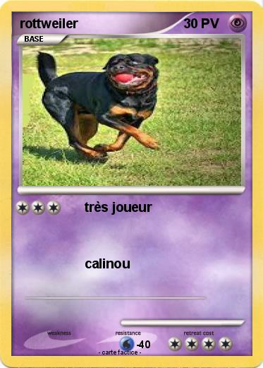 Pokemon rottweiler
