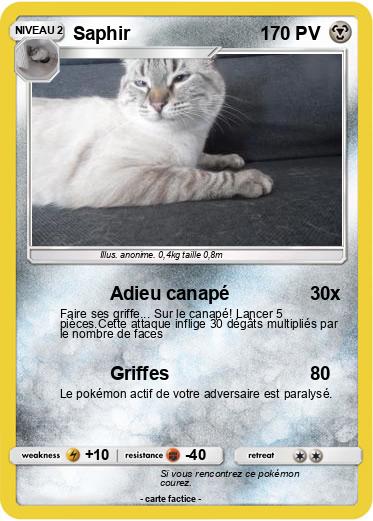 Pokemon Saphir