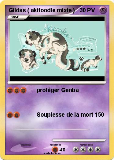 Pokemon Gildas ( akitoodle mixte )