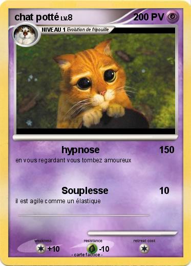 Pokemon chat potté