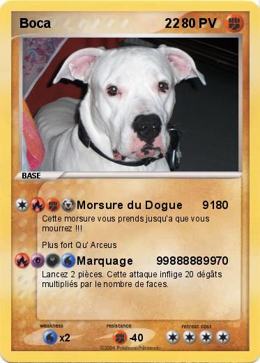 Pokemon Boca                                22 