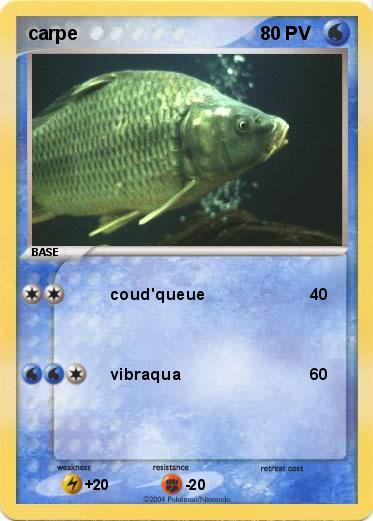 Pokemon carpe