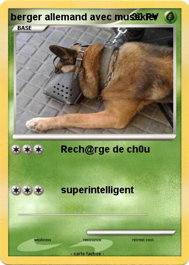 Pokemon berger allemand avec musèkler