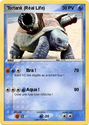 Pokemon Tortank (Réal Life)