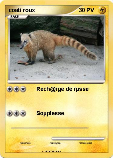 Pokemon coati roux