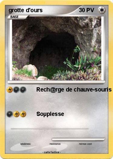 Pokemon grotte d'ours
