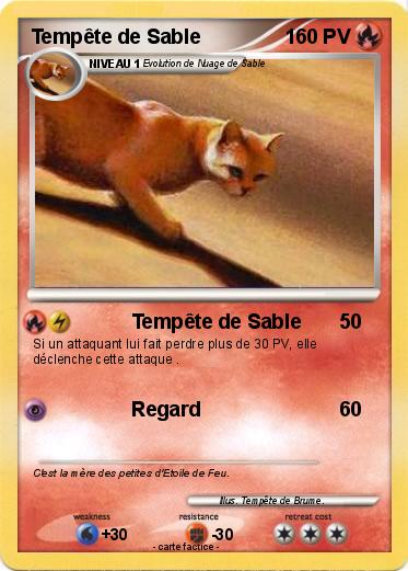 Pokemon Tempête de Sable