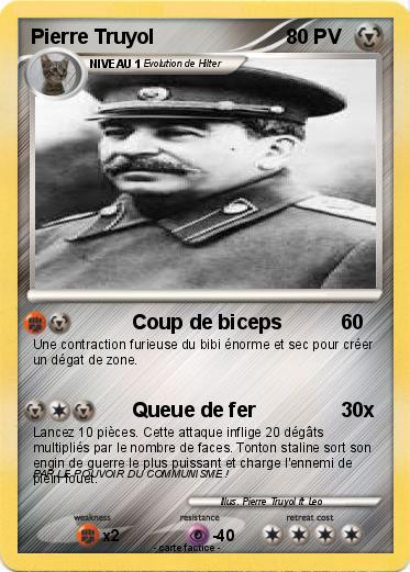 Pokemon Pierre Truyol