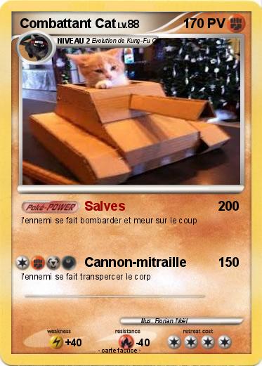 Pokemon Combattant Cat