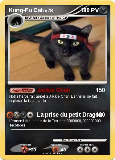 Pokemon Kung-Fu Cat