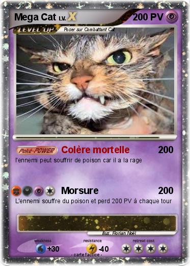 Pokemon Mega Cat