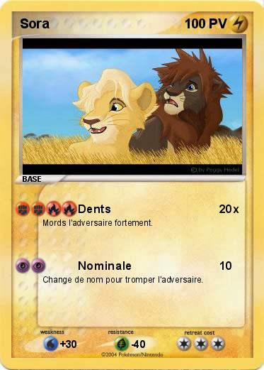 Pokemon Sora