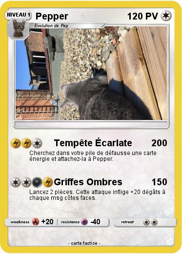 Pokemon Pepper