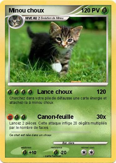 Pokemon Minou choux