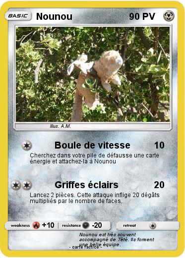 Pokemon Nounou