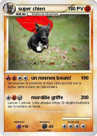 Pokemon super chien