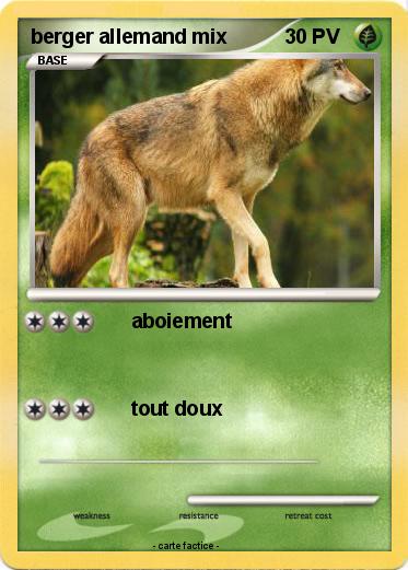 Pokemon berger allemand mix