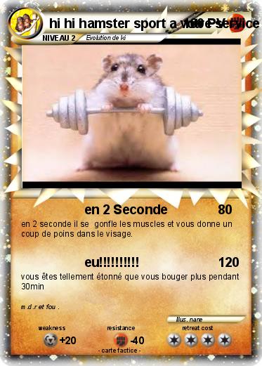 Pokemon hi hi hamster sport a votre service