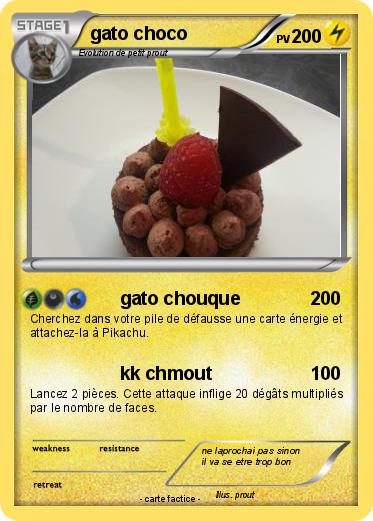 Pokemon gato choco