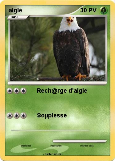 Pokemon aigle