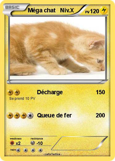Pokemon Méga chat   Niv.X