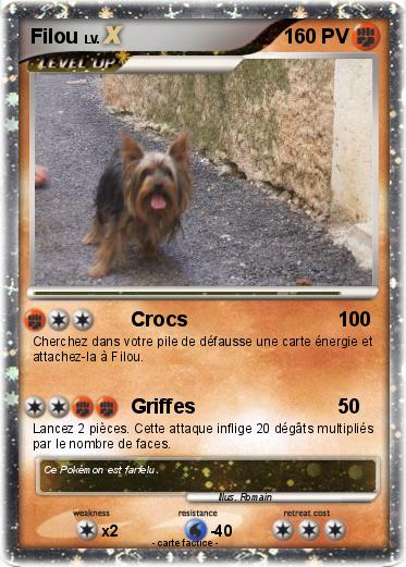 Pokemon Filou