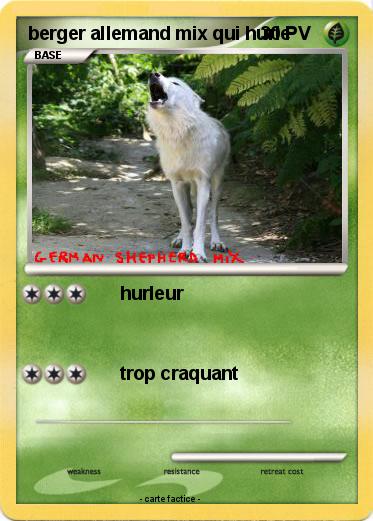Pokemon berger allemand mix qui hurle