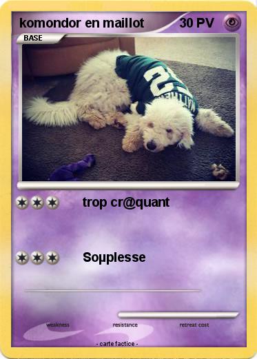 Pokemon komondor en maillot