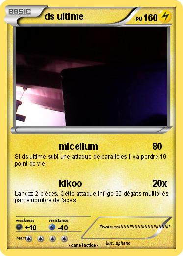 Pokemon ds ultime