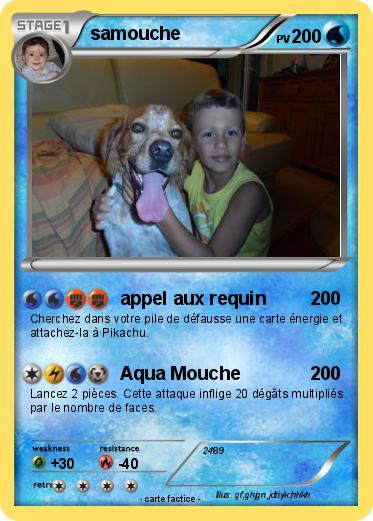 Pokemon samouche